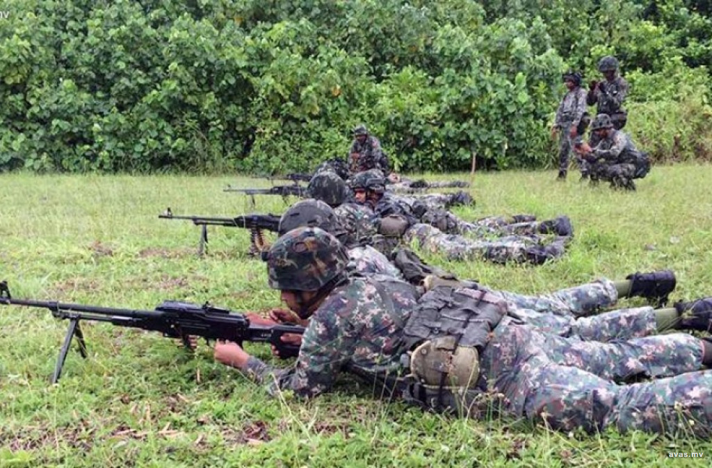 mndf
